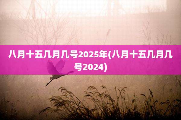 八月十五几月几号2025年(八月十五几月几号2024)
