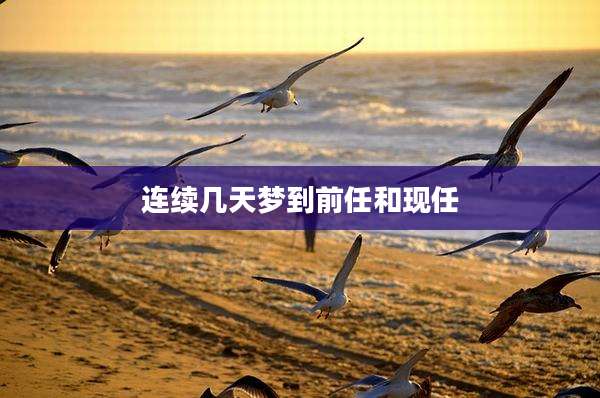 连续几天梦到前任和现任