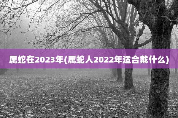 属蛇在2023年(属蛇人2022年适合戴什么)