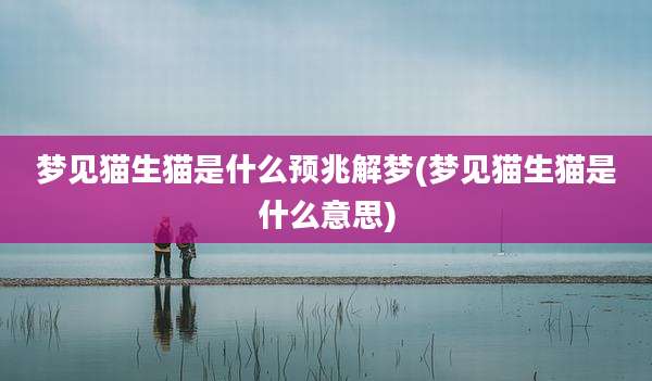 梦见猫生猫是什么预兆解梦(梦见猫生猫是什么意思)