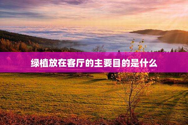 绿植放在客厅的主要目的是什么