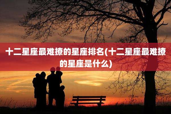 十二星座最难撩的星座排名(十二星座最难撩的星座是什么)