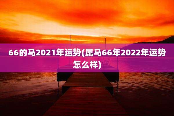 66的马2021年运势(属马66年2022年运势怎么样)