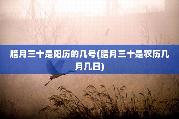 腊月三十是阳历的几号(腊月三十是农历几月几日)