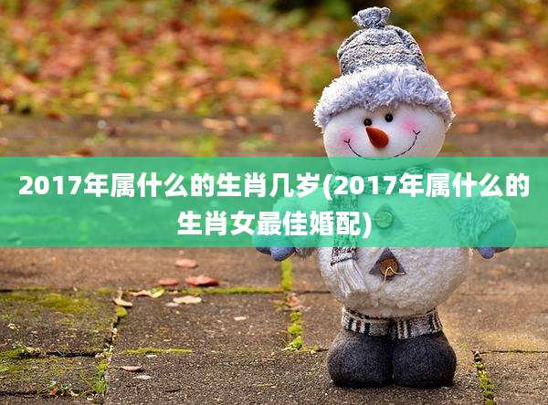 2017年属什么的生肖几岁(2017年属什么的生肖女最佳婚配)