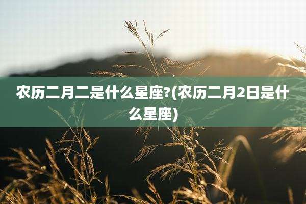 农历二月二是什么星座?(农历二月2日是什么星座)