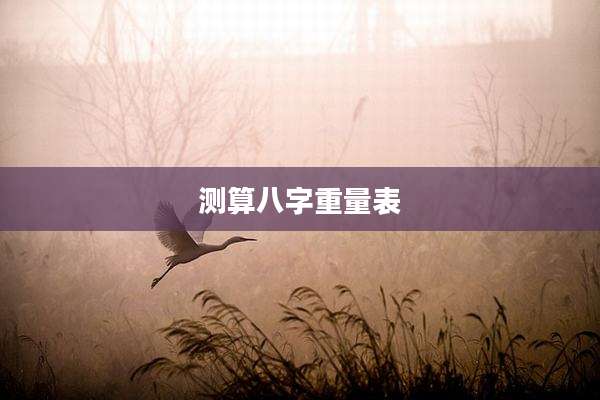 测算八字重量表