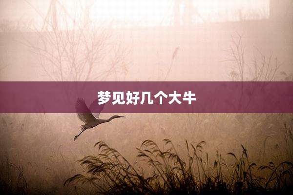 梦见好几个大牛