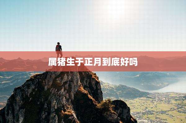 属猪生于正月到底好吗