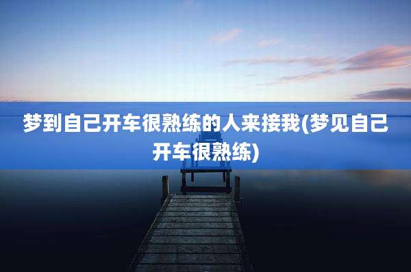 梦到自己开车很熟练的人来接我(梦见自己开车很熟练)