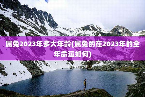 属兔2023年多大年龄(属兔的在2023年的全年命运如何)