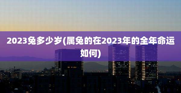 2023兔多少岁(属兔的在2023年的全年命运如何)
