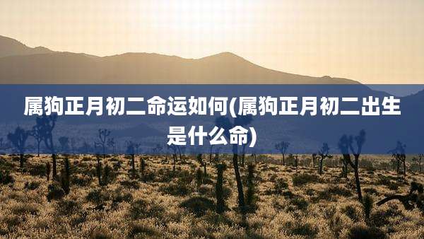 属狗正月初二命运如何(属狗正月初二出生是什么命)
