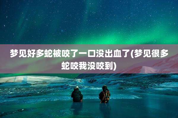 梦见好多蛇被咬了一口没出血了(梦见很多蛇咬我没咬到)