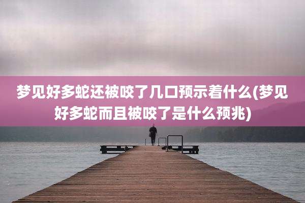 梦见好多蛇还被咬了几口预示着什么(梦见好多蛇而且被咬了是什么预兆)