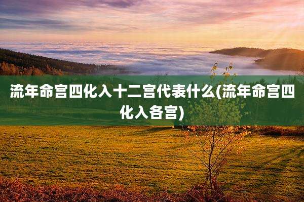 流年命宫四化入十二宫代表什么(流年命宫四化入各宫)