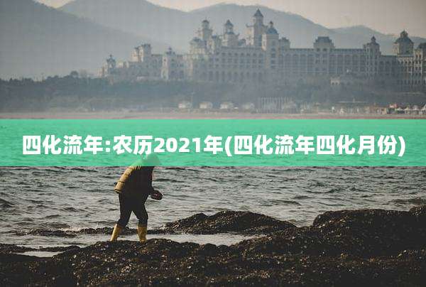 四化流年:农历2021年(四化流年四化月份)