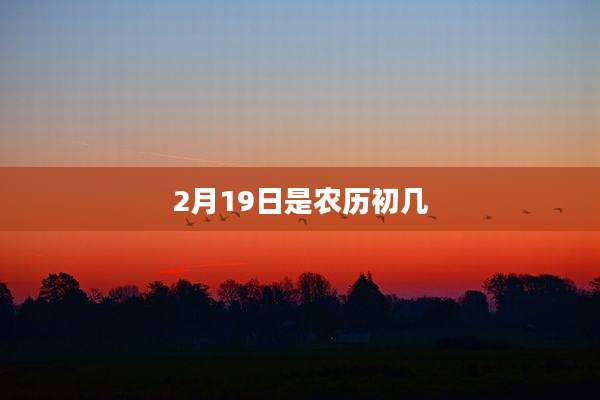 2月19日是农历初几