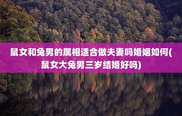 鼠女和兔男的属相适合做夫妻吗婚姻如何(鼠女大兔男三岁结婚好吗)