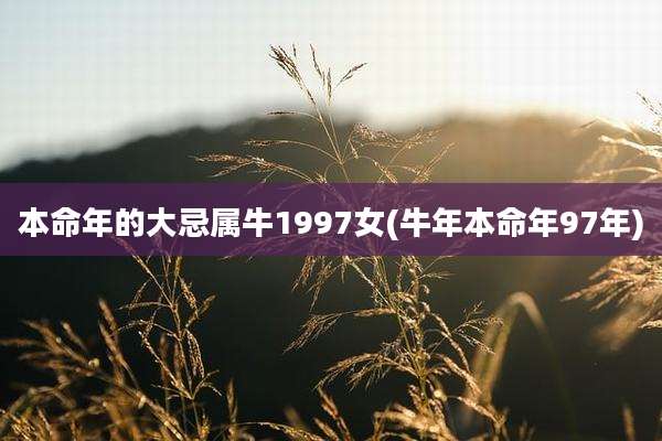 本命年的大忌属牛1997女(牛年本命年97年)