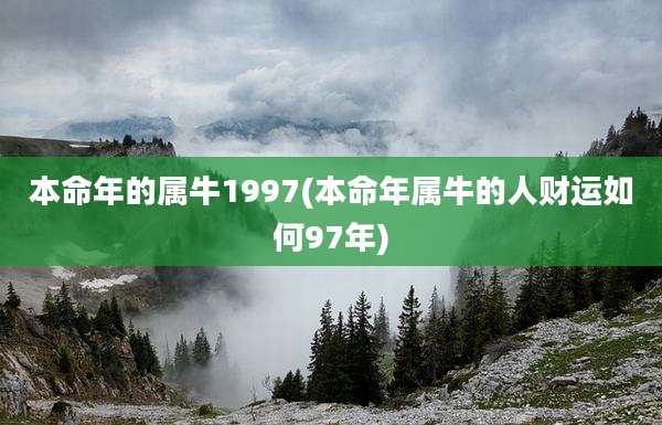 本命年的属牛1997(本命年属牛的人财运如何97年)