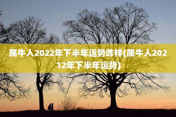 属牛人2022年下半年运势咋样(属牛人20212年下半年运势)
