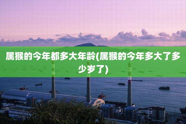 属猴的今年都多大年龄(属猴的今年多大了多少岁了)