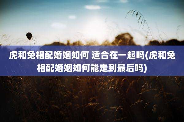 虎和兔相配婚姻如何 适合在一起吗(虎和兔相配婚姻如何能走到最后吗)