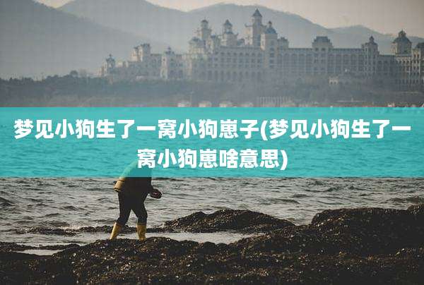 梦见小狗生了一窝小狗崽子(梦见小狗生了一窝小狗崽啥意思)