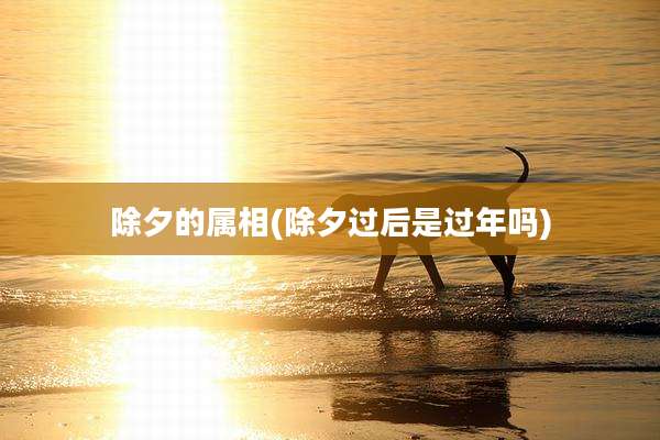 除夕的属相(除夕过后是过年吗)
