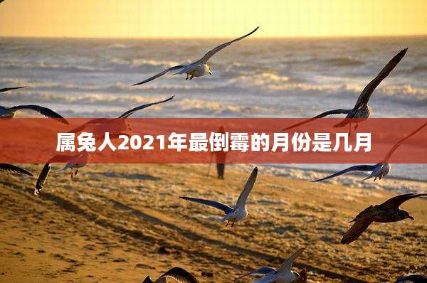 属兔人2021年最倒霉的月份是几月