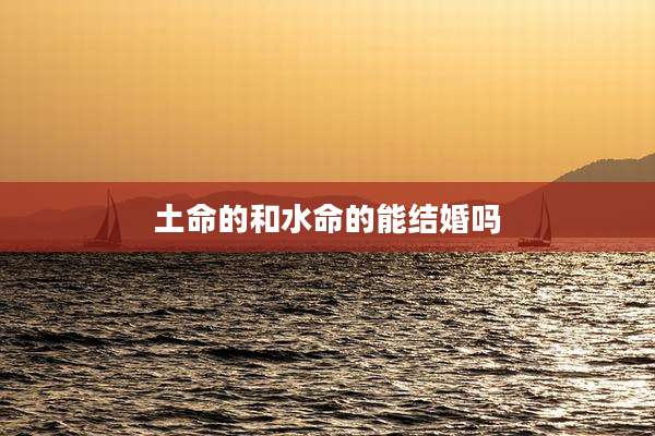 土命的和水命的能结婚吗