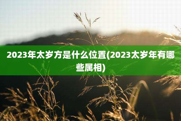 2023年太岁方是什么位置(2023太岁年有哪些属相)