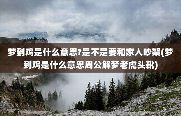 梦到鸡是什么意思?是不是要和家人吵架(梦到鸡是什么意思周公解梦老虎头靴)