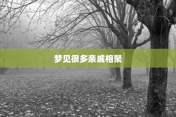 梦见很多亲戚相聚