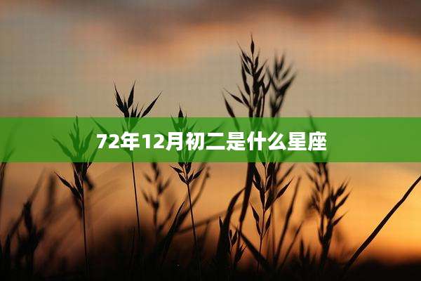 72年12月初二是什么星座