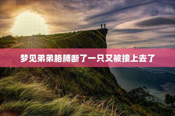 梦见弟弟胳膊断了一只又被接上去了