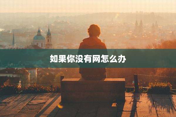 如果你没有网怎么办