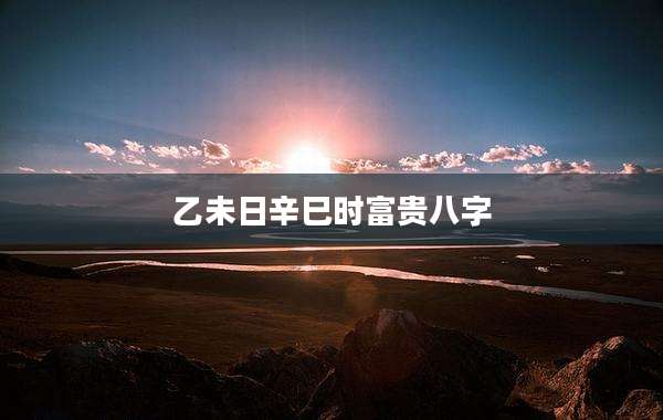 乙未日辛巳时富贵八字