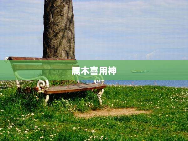 属木喜用神