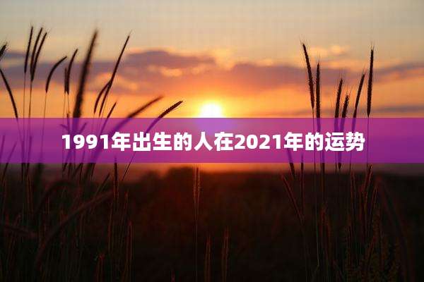 1991年出生的人在2021年的运势