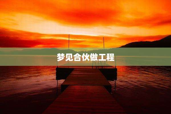 梦见合伙做工程