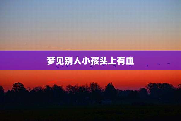 梦见别人小孩头上有血