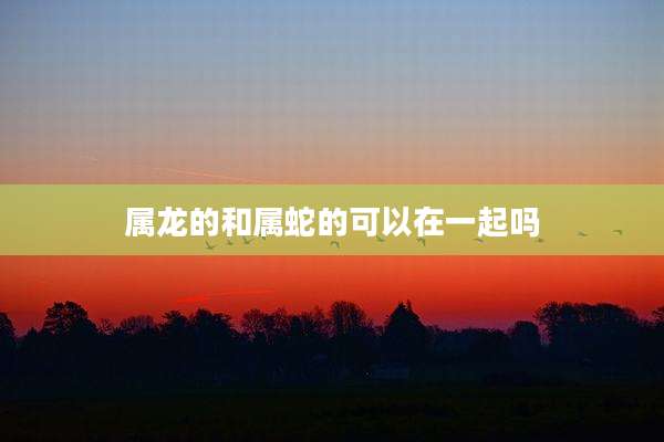 属龙的和属蛇的可以在一起吗