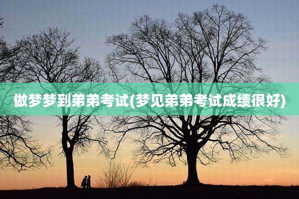 做梦梦到弟弟考试(梦见弟弟考试成绩很好)