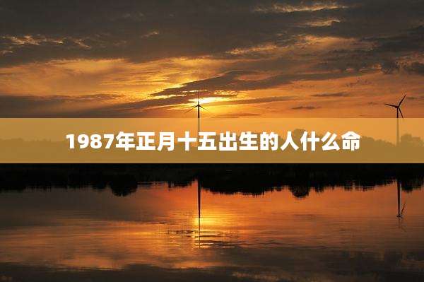 1987年正月十五出生的人什么命
