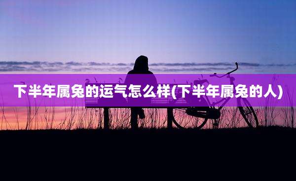 下半年属兔的运气怎么样(下半年属兔的人)