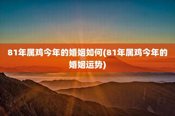 81年属鸡今年的婚姻如何(81年属鸡今年的婚姻运势)
