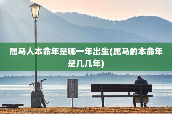 属马人本命年是哪一年出生(属马的本命年是几几年)