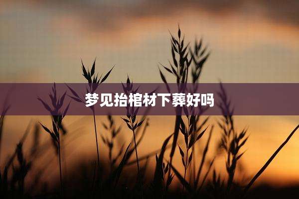 梦见抬棺材下葬好吗